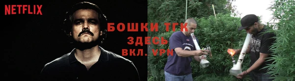 МДМА Бородино