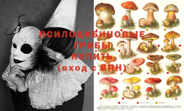 2c-b Богородск